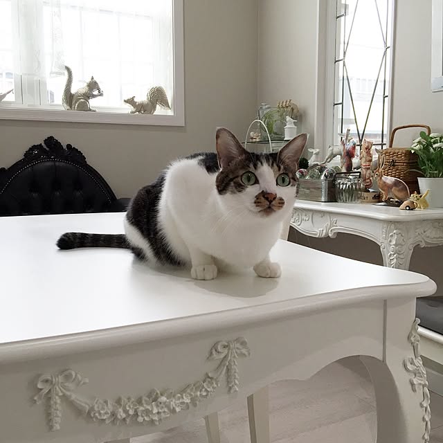 yuchiさんの実例写真