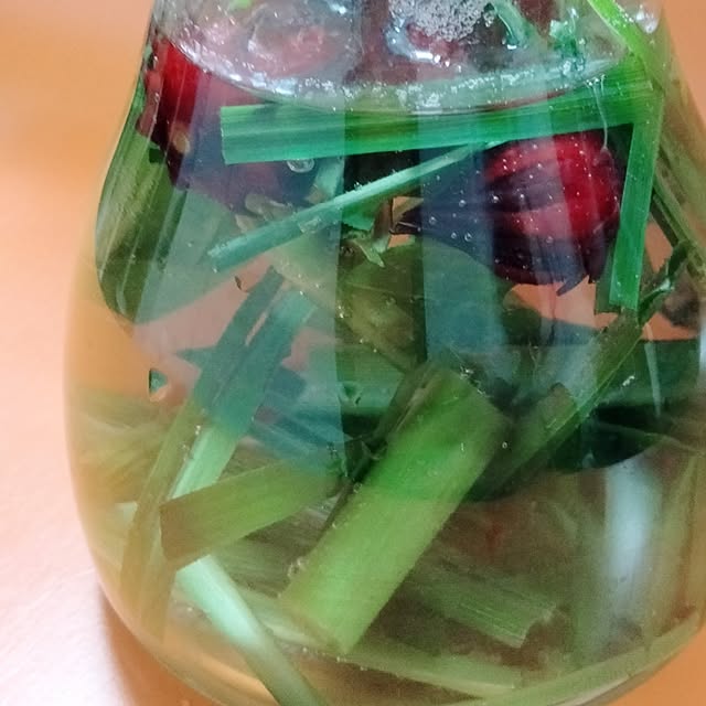 lui1998さんの部屋