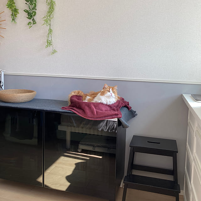 H.Tさんの実例写真