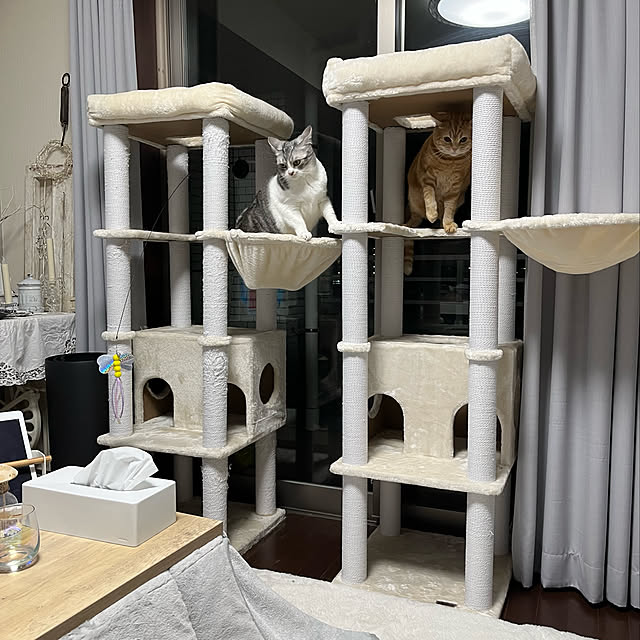 Atelier.mさんの実例写真