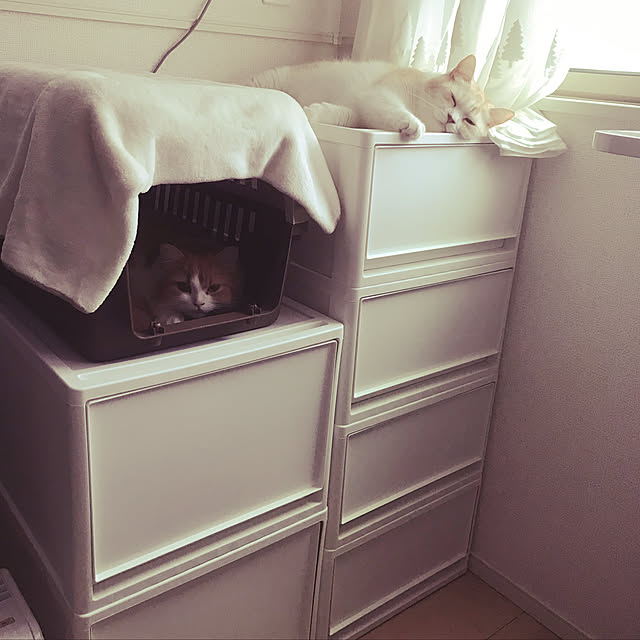 H.Tさんの実例写真