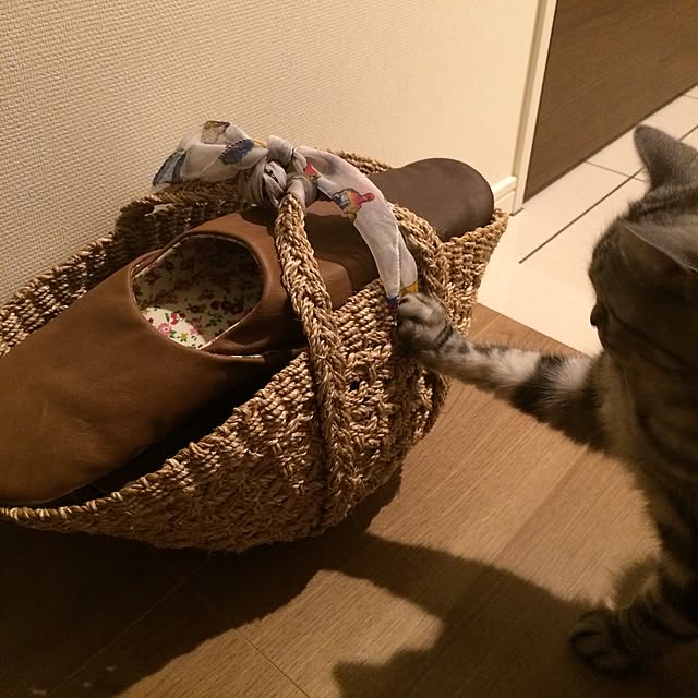 mikomaruさんの実例写真