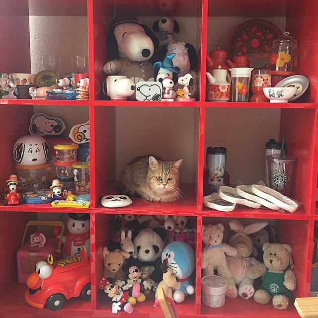 pokioさんの実例写真