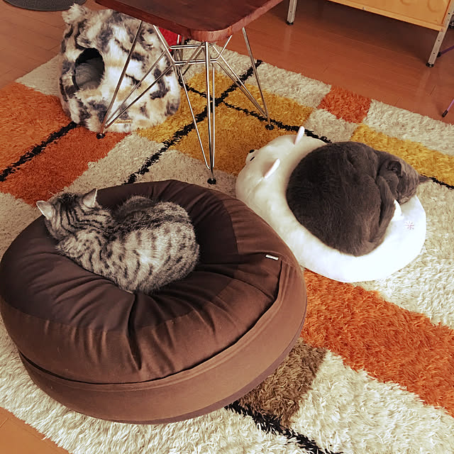Shojiさんの実例写真