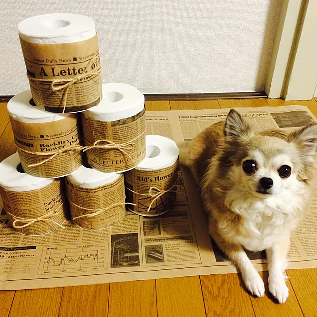 hitomiさんの実例写真