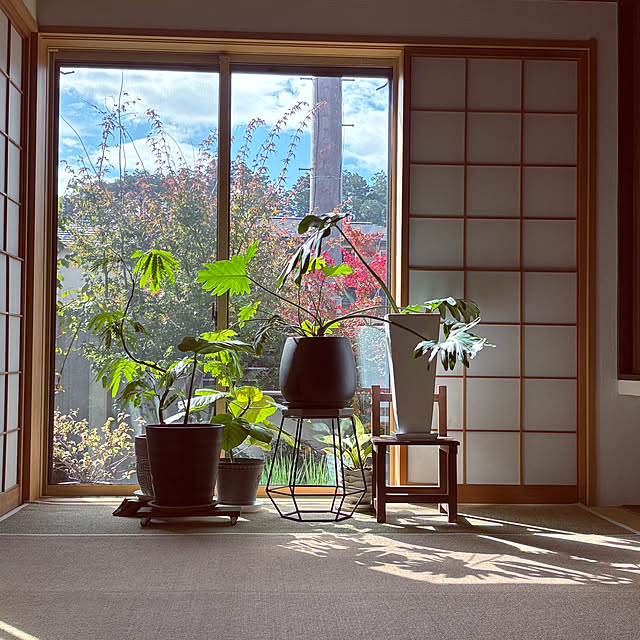 maimai0110さんの実例写真