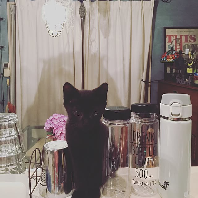 bowbowcoさんの実例写真