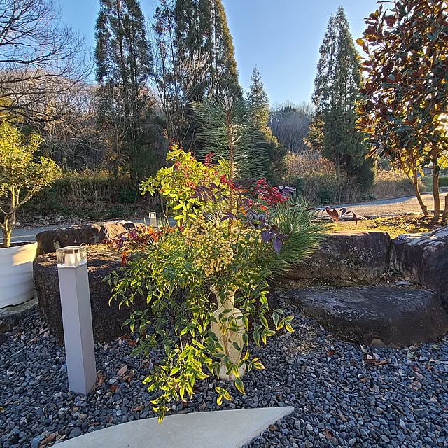 Rubiconさんの実例写真