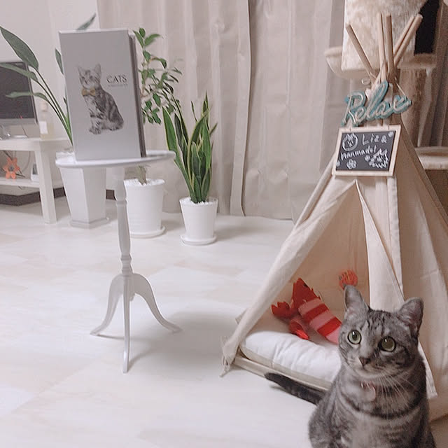 nonkoさんの実例写真