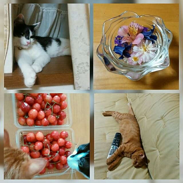 yum0408さんの実例写真