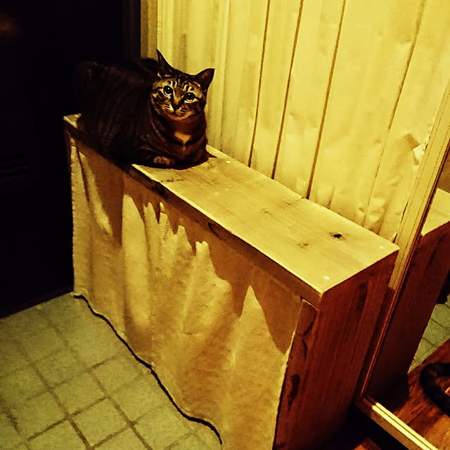 rioさんの実例写真