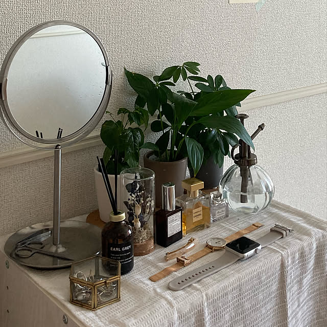 ニトリ/観葉植物/雑貨/棚のインテリア実例 - 2022-09-12 12:41:56
