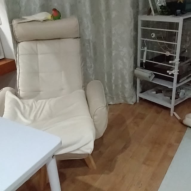 toratanさんの実例写真