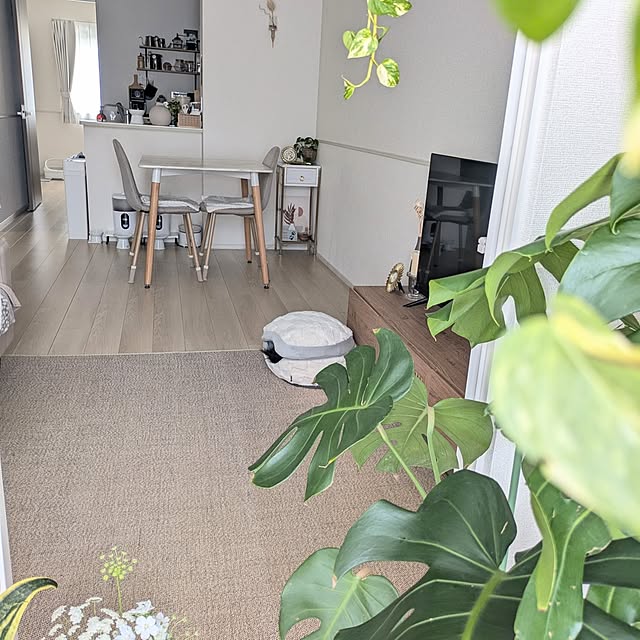 kumiさんの実例写真