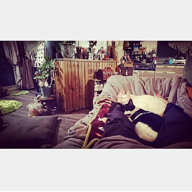 Kazukiさんの実例写真