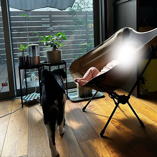 porinさんの実例写真