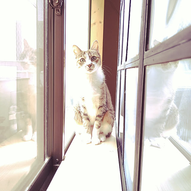 nanaさんの実例写真
