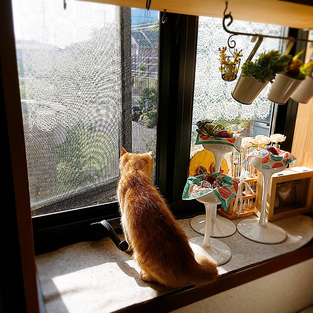 kikiさんの実例写真