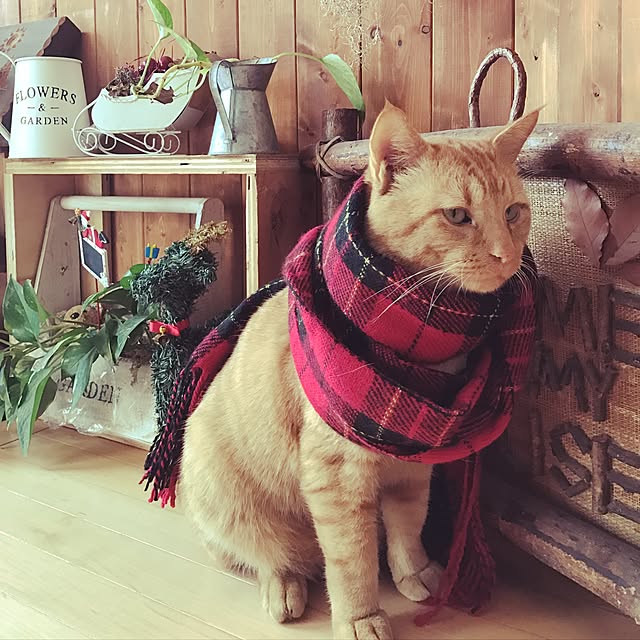 klaroomさんの実例写真