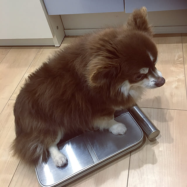 chIoeさんの実例写真