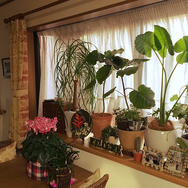 sakulaさんの実例写真