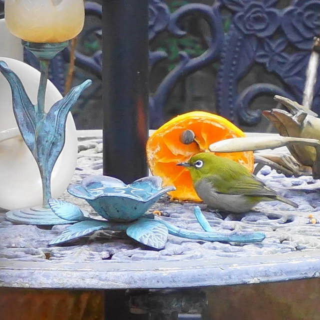 aromameさんの実例写真