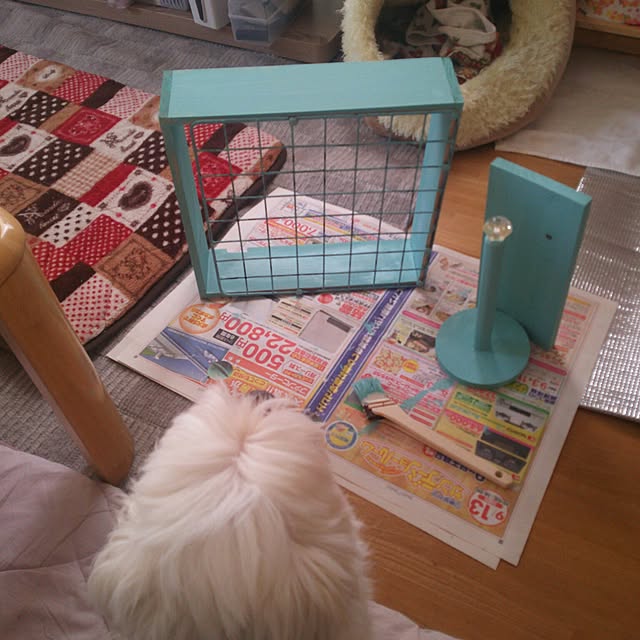 nikoさんの実例写真