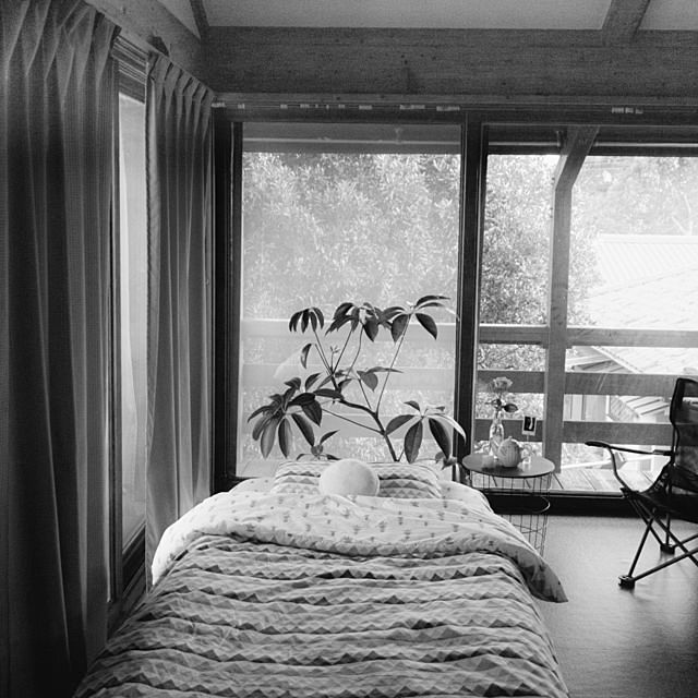 SHIINAさんの実例写真