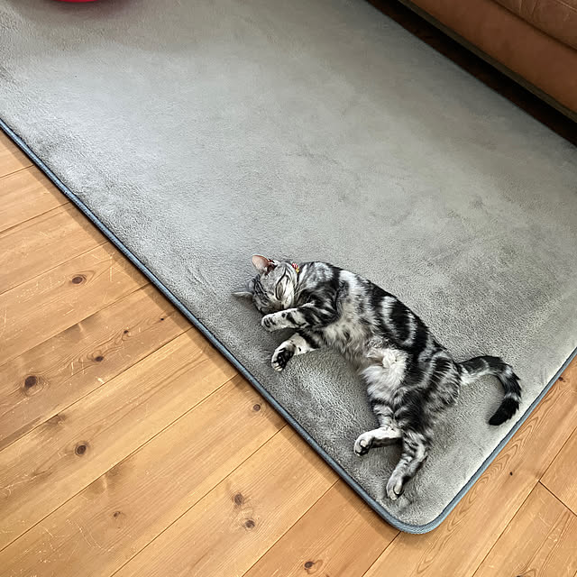 wahahaさんの実例写真