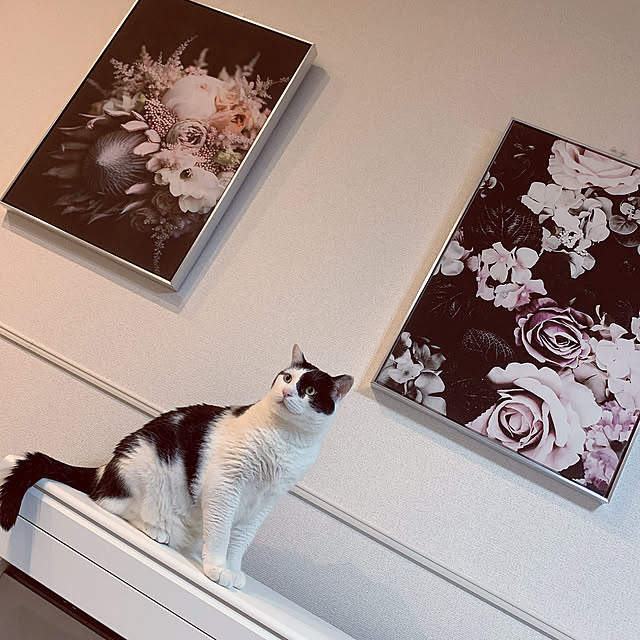 Nさんの実例写真
