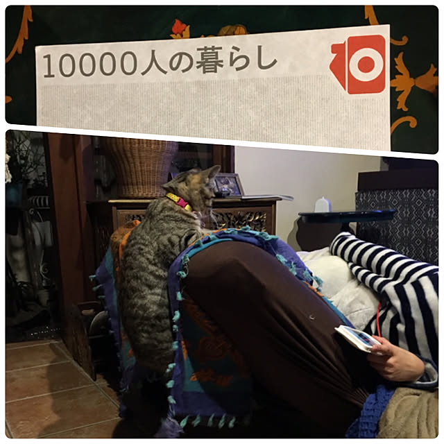 shigimiさんの実例写真