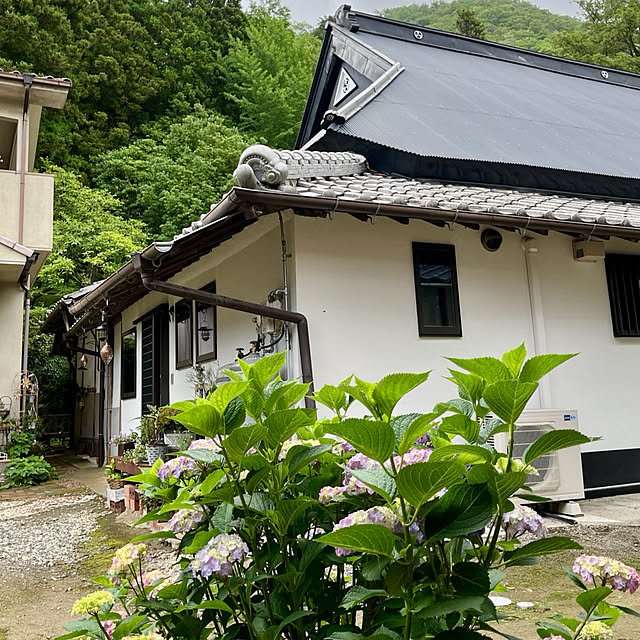 cotaさんの部屋