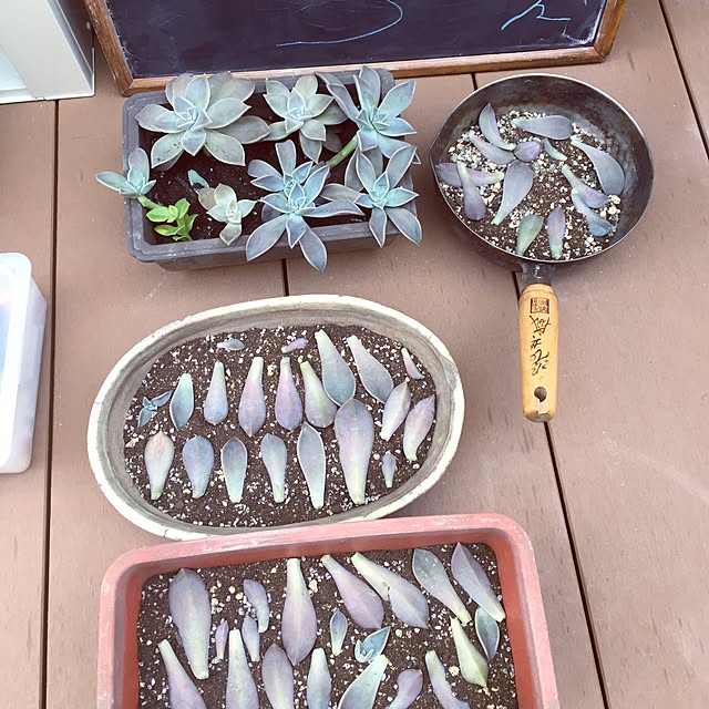 mukamukaさんの実例写真