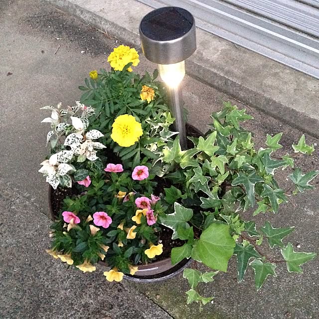 takakikoさんの実例写真