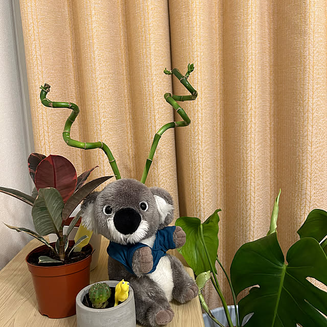komonoさんの部屋