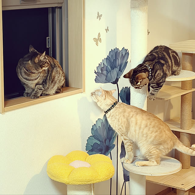 chiiさんのお部屋の写真