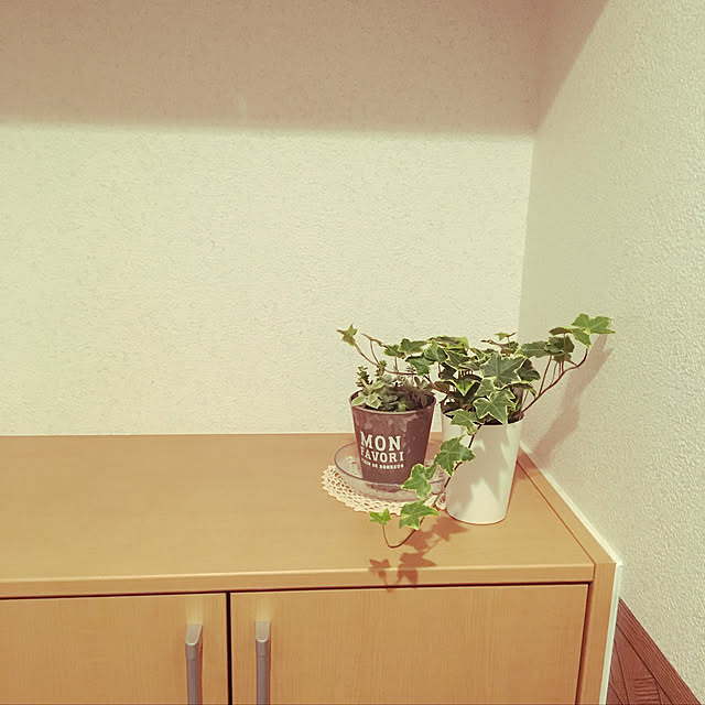玄関/入り口/観葉植物のインテリア実例 - 2018-01-08 19:31:57