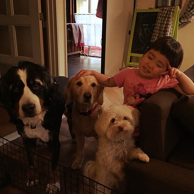tomo56さんの実例写真