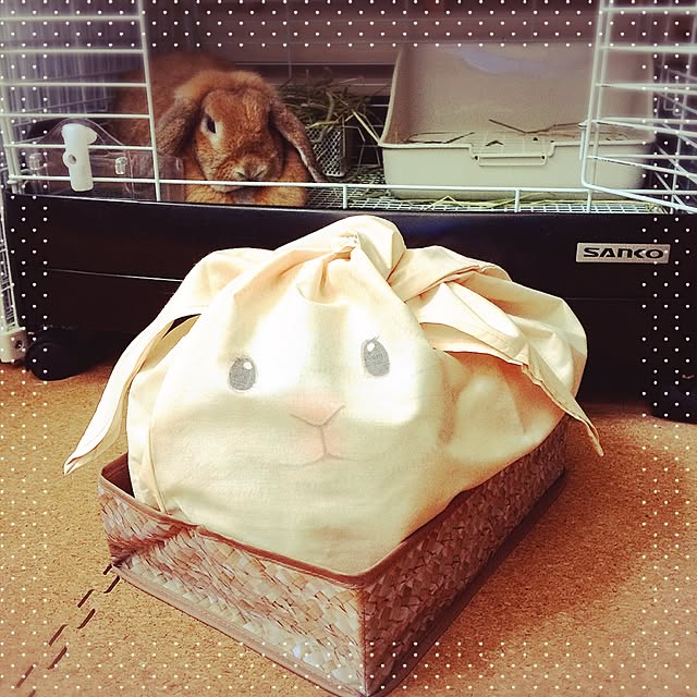 Asakaru_sopさんの実例写真