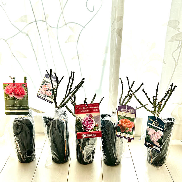 hiromimiさんの実例写真