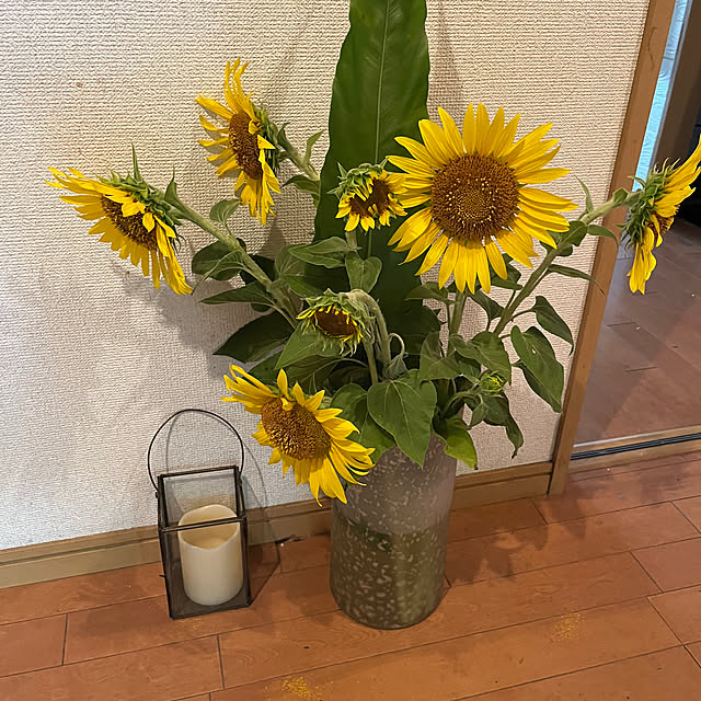 cagosukiさんの実例写真