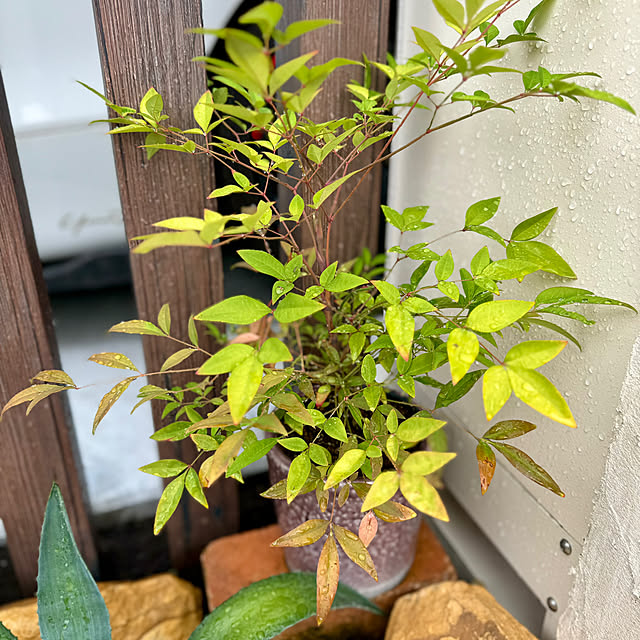 yutaさんの部屋