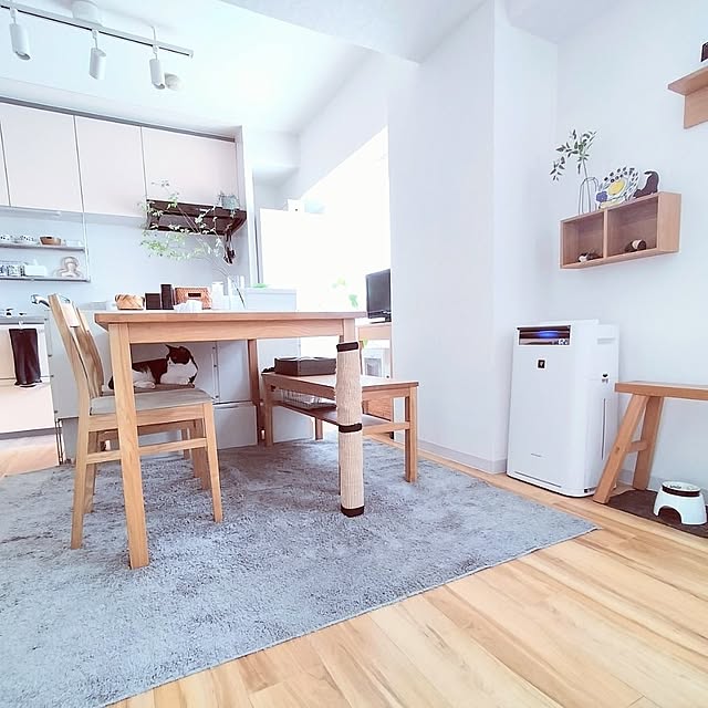 hihaさんの部屋