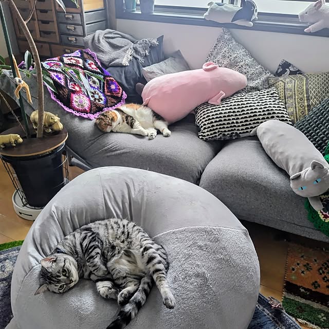hiro3さんの部屋