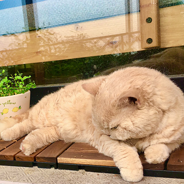 naokoさんの部屋