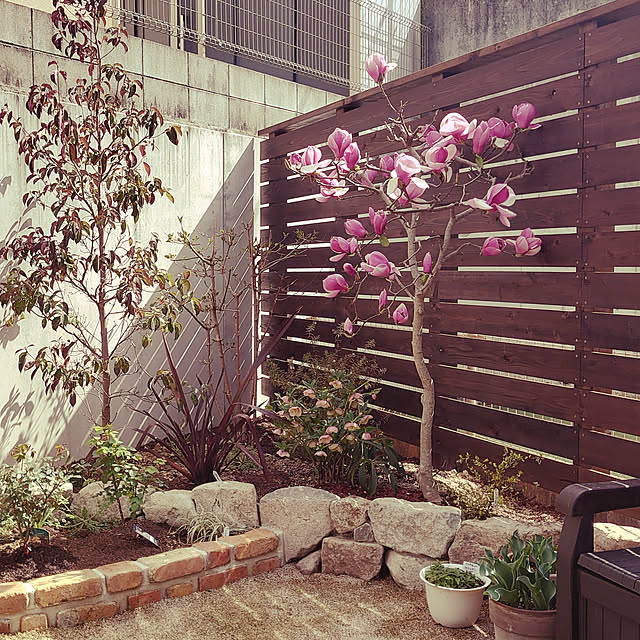 実例写真