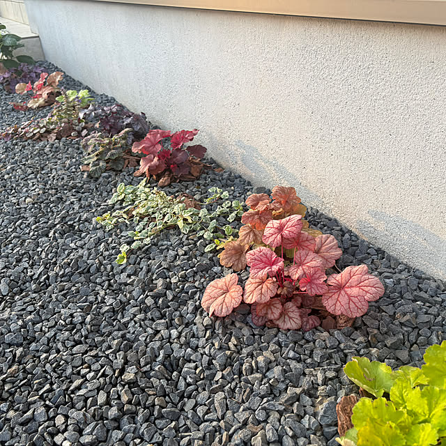 Haruさんの部屋