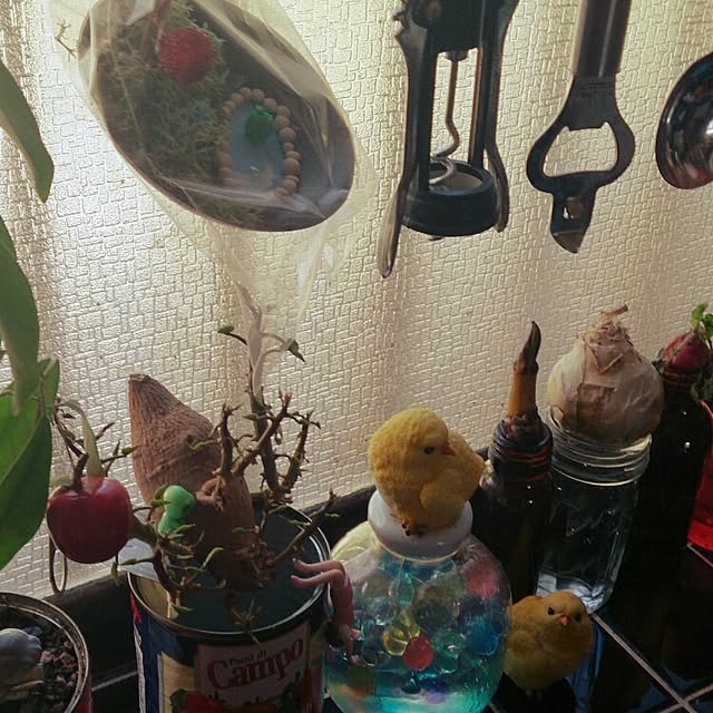 kikuさんの実例写真