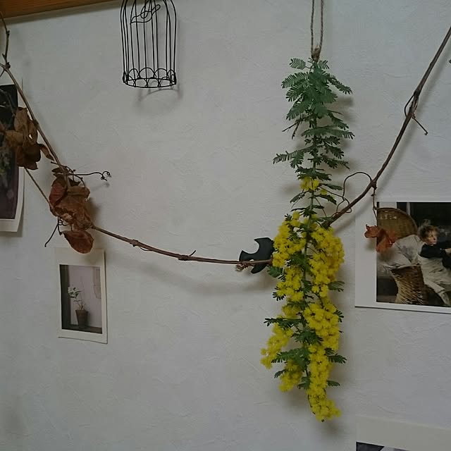 yooomeiziさんの実例写真