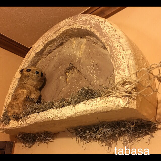 tabasaさんの実例写真